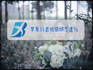 苹果11后玻璃碎了建议换吗