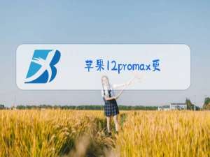 苹果12promax更换后玻璃