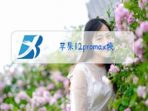 苹果12promax换后盖玻璃