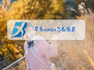 苹果xsmax怎么换后盖玻璃