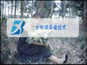 全玻璃幕墙挂式