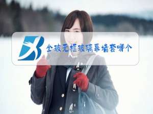 全玻无框玻璃幕墙套哪个定额
