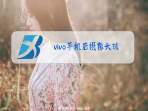 vivo手机后摄像头玻璃可以换吗多少钱