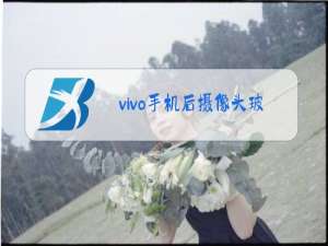 vivo手机后摄像头玻璃可以换吗