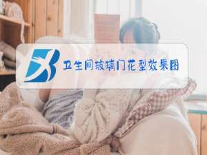 卫生间玻璃门花型效果图