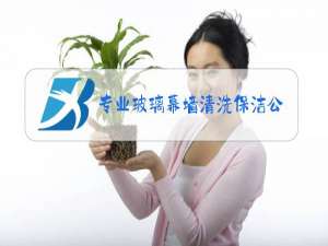 专业玻璃幕墙清洗保洁公司