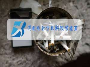 河北电台少儿科教频道直播在线观看