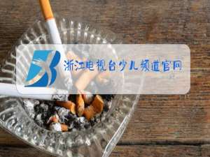 浙江电视台少儿频道官网回放