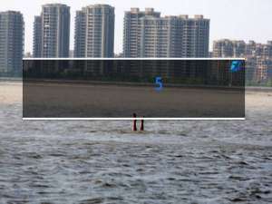 (5)亨廷顿舞蹈症的致病原因是什么