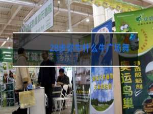 28步你牛什么牛广场舞