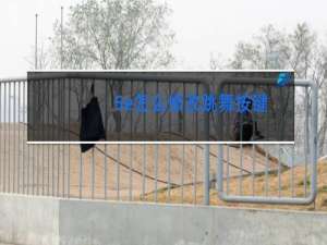 5e怎么修改跳舞按键