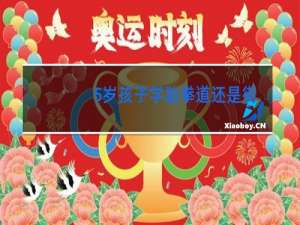 5岁孩子学跆拳道还是街舞