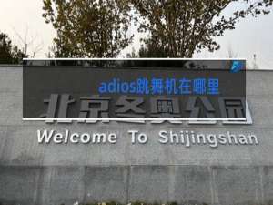 adios跳舞机在哪里