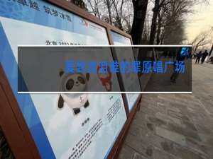 爱到流泪谁的罪原唱广场舞64步