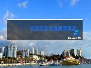 埃及猫动漫跳舞哪里看