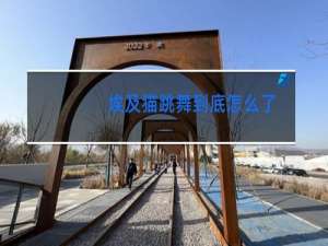 埃及猫跳舞到底怎么了