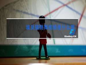 埃及猫跳舞视频是什么游戏