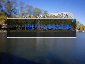 阿k为什么没参加街舞4吗