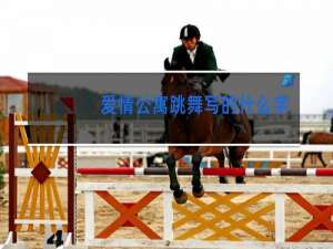 爱情公寓跳舞写的什么字