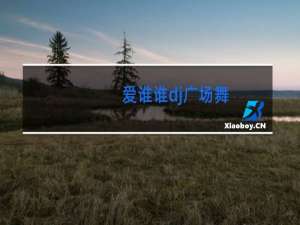 爱谁谁dj广场舞