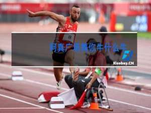 阿真广场舞你牛什么牛