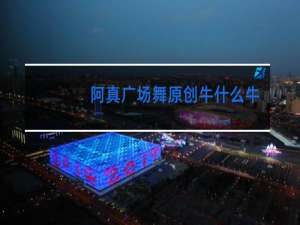 阿真广场舞原创牛什么牛