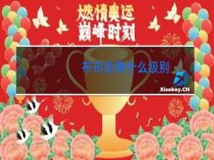 布布街舞什么级别