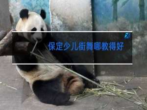 保定少儿街舞哪教得好