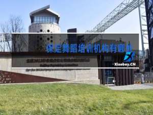 保定舞蹈培训机构有哪些