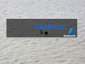 白话街舞怎么说