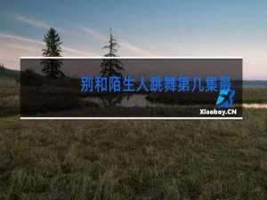 别和陌生人跳舞第几集出轨的