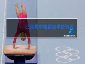 北京附中舞蹈类学校有哪些