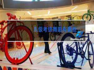 八级考级舞蹈有哪些