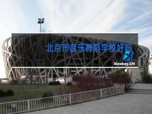 北京市音乐舞蹈学校好不好