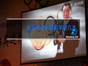 北京市音乐舞蹈学校几本