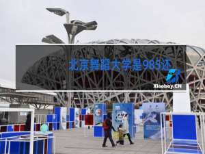 北京舞蹈大学是985还是211