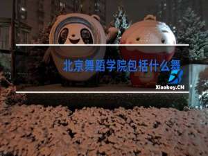 北京舞蹈学院包括什么舞系