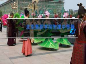 北京舞蹈学院附属中等舞蹈学校是高中吗