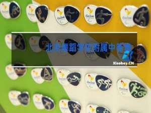 北京舞蹈学院附属中等舞蹈学校是高中吗