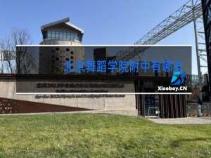 北京舞蹈学院附中有哪些明星