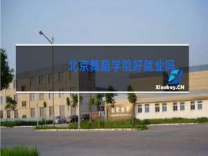 北京舞蹈学院好就业吗