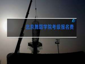 北京舞蹈学院考级报名费多少