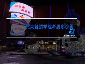北京舞蹈学院考级多少级