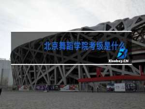 北京舞蹈学院考级是什么时候有的