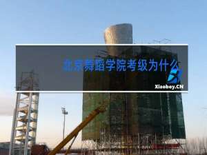 北京舞蹈学院考级为什么考两种