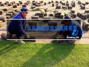 北京舞蹈学院全国排名第几