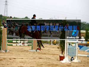 北京舞蹈学院是什么接到