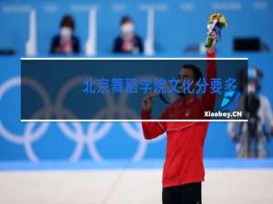 北京舞蹈学院文化分要多少