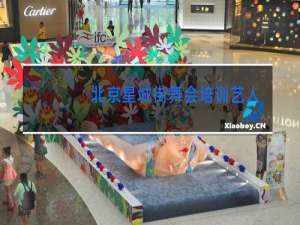 北京星城街舞会培训艺人吗