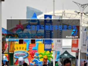 北京音乐舞蹈学校是中专吗